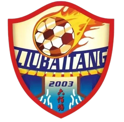 Tim Sepak Bola Desa Liubaitang