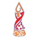 Heritage Football Star League