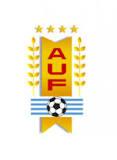 كأس الأرجنتين للهواة