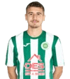 Enea topi