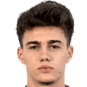 Nikola Mituljikic