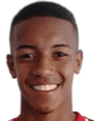 Gustavo·Rodrigues Ferreira