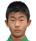 Lin Hanqi