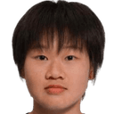 Ding Lei