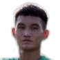 Dinh Hai Pham