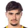 Nikola Mitrovic