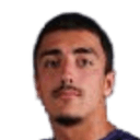 Vuk matejic
