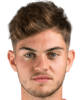 nico rijn van