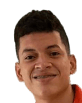 Elen Joshep Ricardo Ochoa