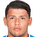 Gustavo Hamer