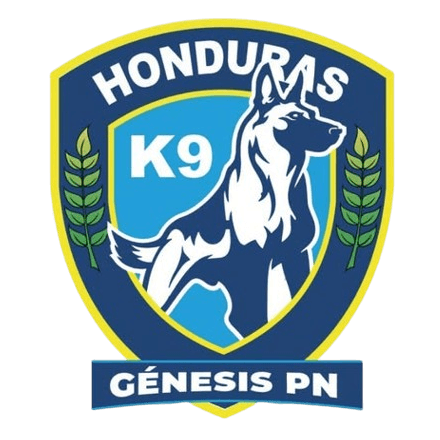 جينيسيس دي كوماياجوا