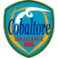 Cobaltore Onagawa
