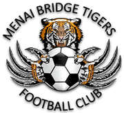 Menai Bridge Tigers
