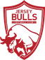 Jersey Bulls
