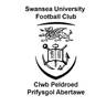 جامعة سوانسي
