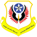 نيروي زاميني