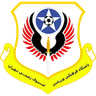 نيروي زاميني