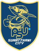 Surat Thani City