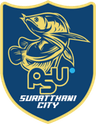 Surat Thani City