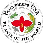 Ecuagenera