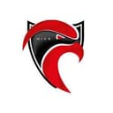 Nice Cavigal (U19)