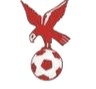 Whitehawk