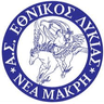 Ethnikos Neas Makris