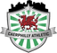 Sport in Caerphilly