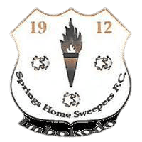 Springs Home Sweepers FC Women