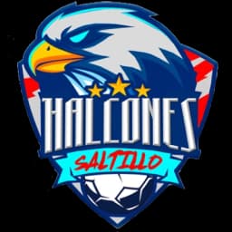 Halcones de Saltillo Halcones de Saltillo
