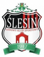 LKS Slesin