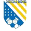 FC Agricola Borcea