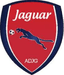 Jaguar PE U20