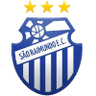 Sao Raimundo
