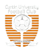 جامعة كيرتن