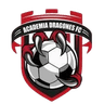 Academia Dragones FC
