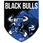 Black Bulls
