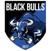 Black Bulls