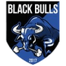 Black Bulls