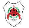 الريان