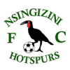 Nsingizini Hotspurs Nsingizini Hotspurs