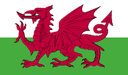 Wales Indoor Soccer