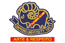جامعة سابورو