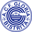 A.C.F. Gloria Bistrita