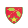 Mostistea Ulmu