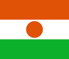 النيجر النسائي تحت 20