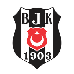 بشيكتاش تحت 19