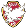 Aguia de Cumaru