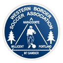 অস্ট্রেলিয়ান ওয়েলশ লিগ