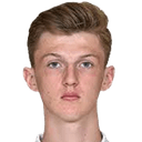 डैनिएले कॉलिंज